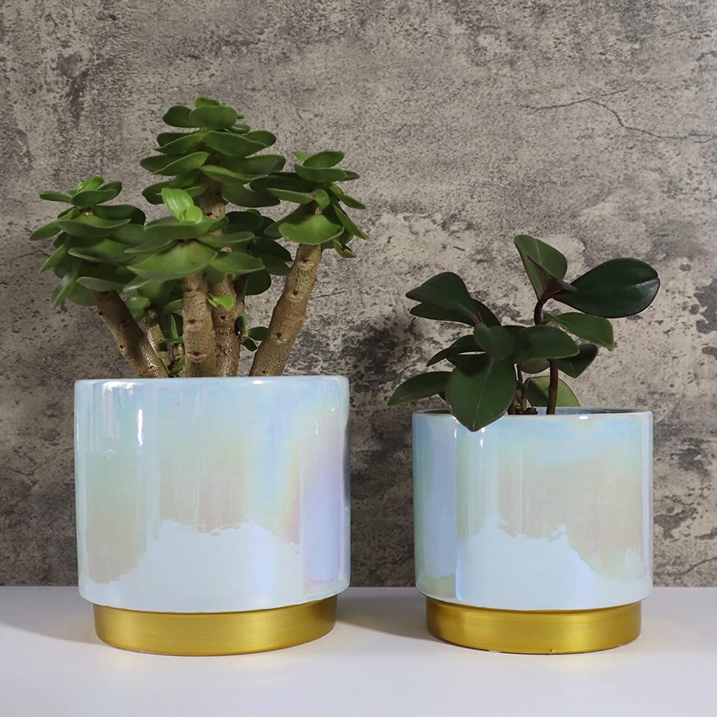 A Whimsical Find: YFFSRJDJ Iridescent Ceramic Planters