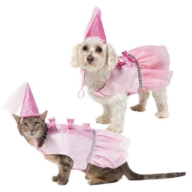 Cat princess costume Clearance