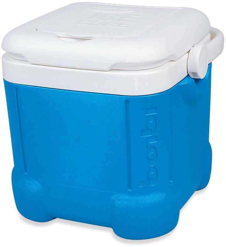 Igloo Ice Cube 14Can Cooler Road Trip Essentials POPSUGAR Smart