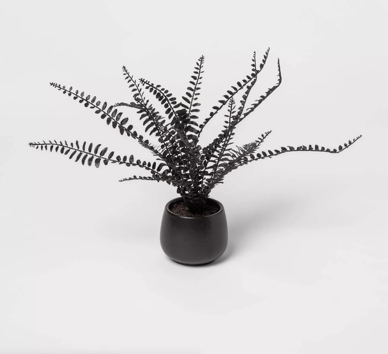 Shop Target's 17" x 11" Artificial Black Fern Arrangement in Ceramic Pot Black