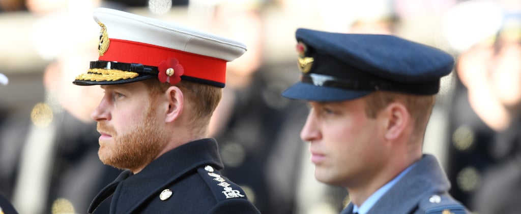 William, Harry Aren't Walking Together at Philip's Funeral