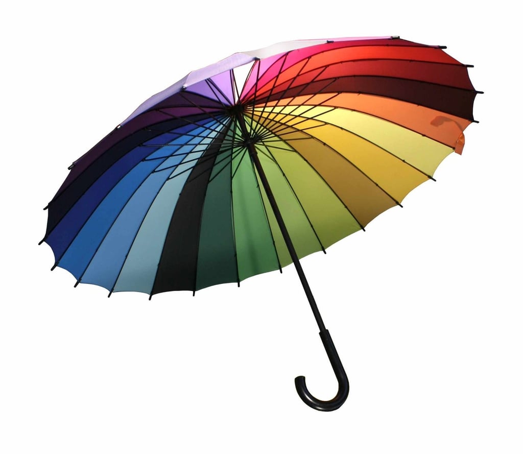 Rainbow Color Wheel Umbrella