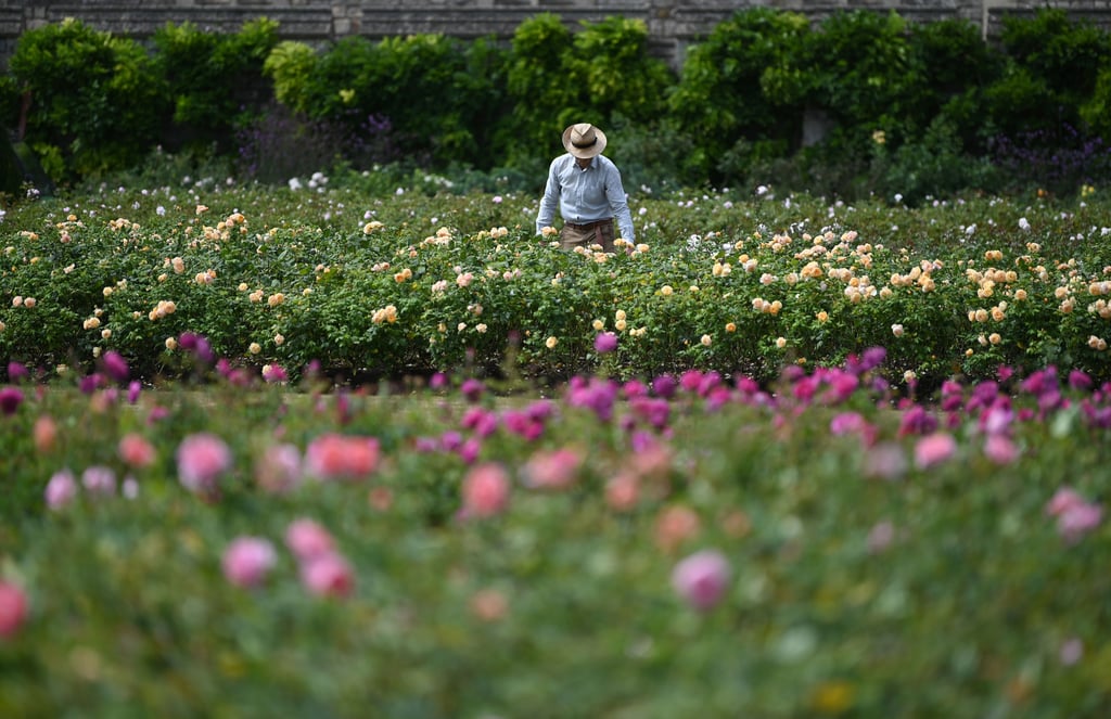 Windsor Castle East Terrace Garden Opens to the Public