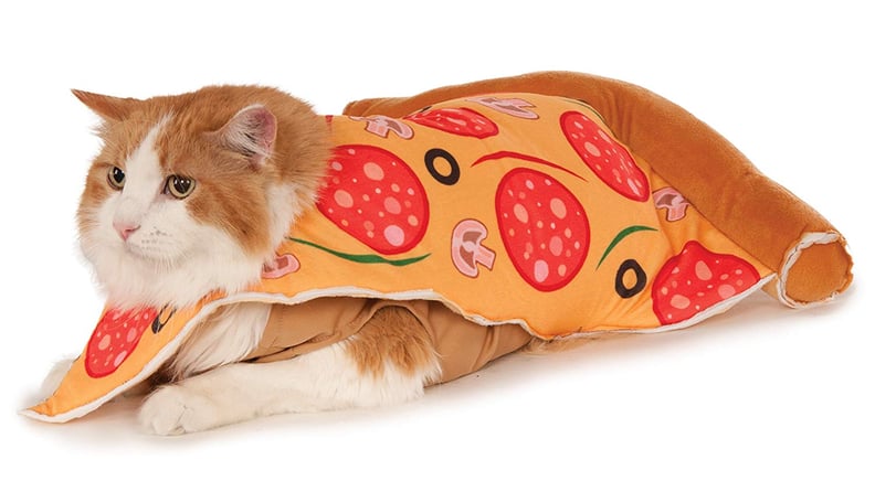 Pizza Slice Pet Suit
