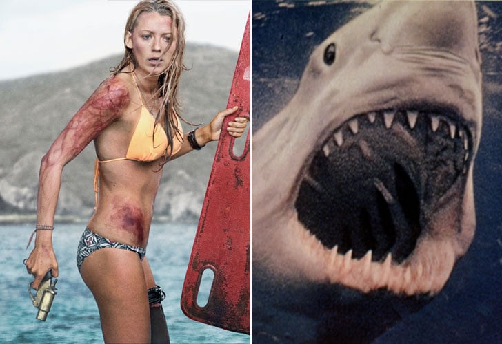Nancy and a Great White Shark From The Shallows