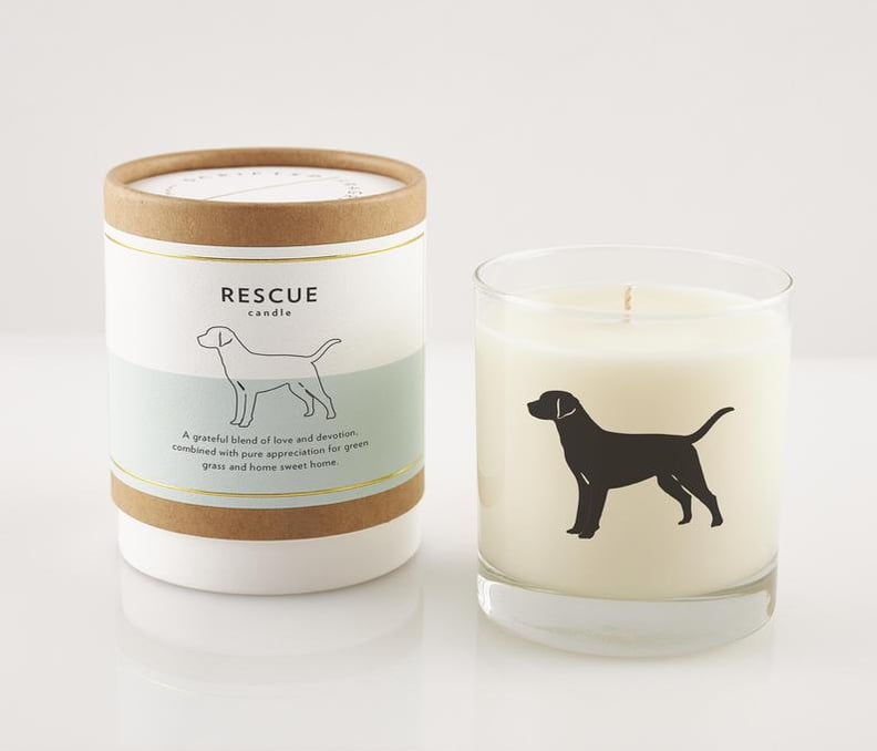 一个漂亮的蜡烛:救援犬大豆蜡烛