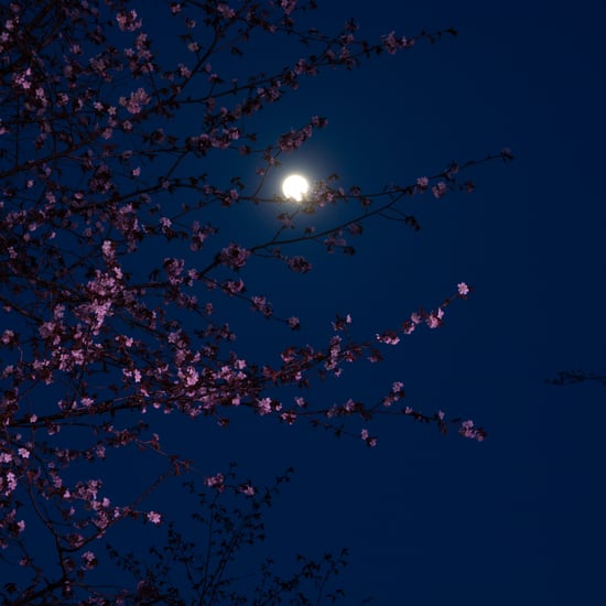 Pink Moon April 2022 Spiritual Meaning