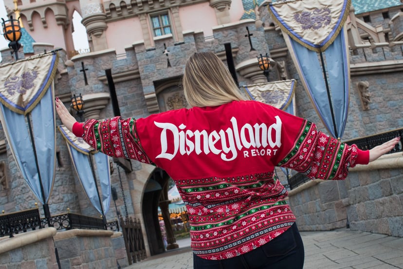 Disneyland 2019 outlet sweater