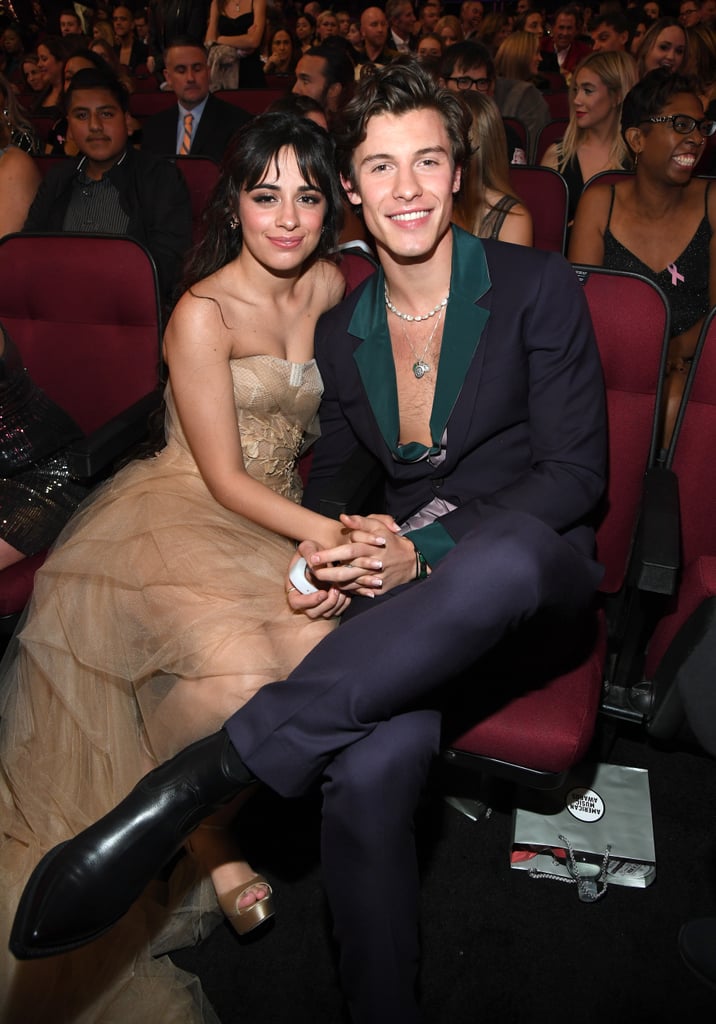 Camila Cabello and Shawn Mendes at the 2019 American Music Awards