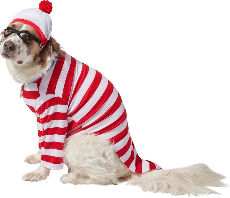 14 Legendary Halloween Costumes for Large Dogs