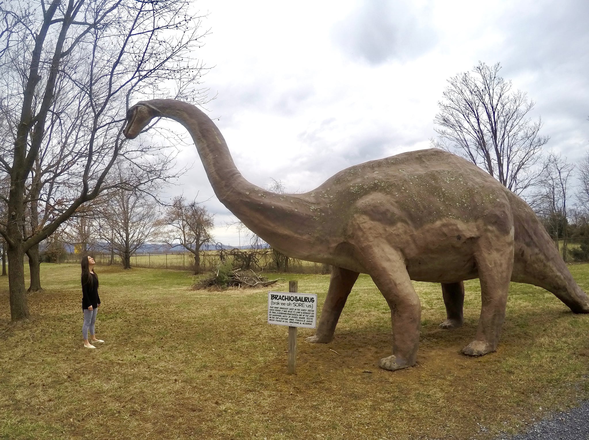 What Is Dinosaur Land POPSUGAR Travel