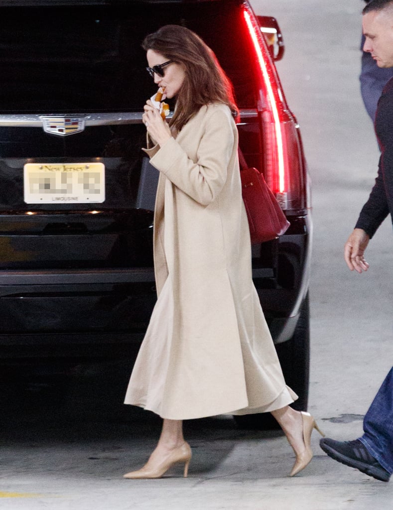 Angelina Jolie's Ryan Roche Nude Outfit