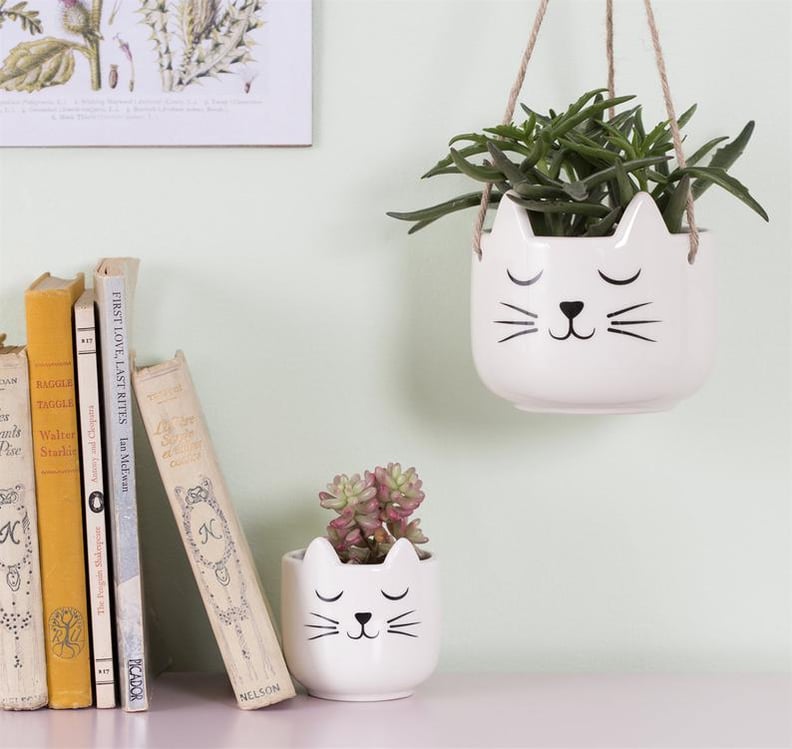 Mini White Cat's Whiskers Indoor Planter Pot