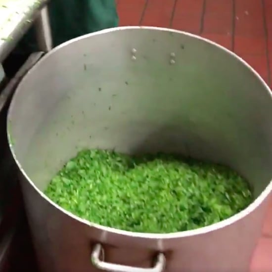 How to Chop Cilantro