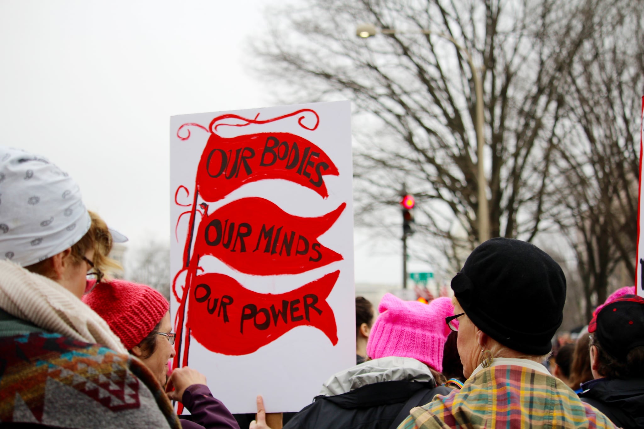 在华盛顿特区的妇女大游行中，成群的男女手持抗议标语游行穿过街道。醒目的牌子上写着，