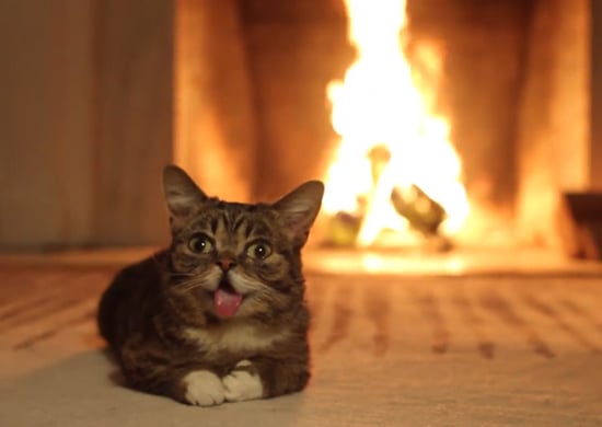 Fireplace Videos Loop Popsugar Tech