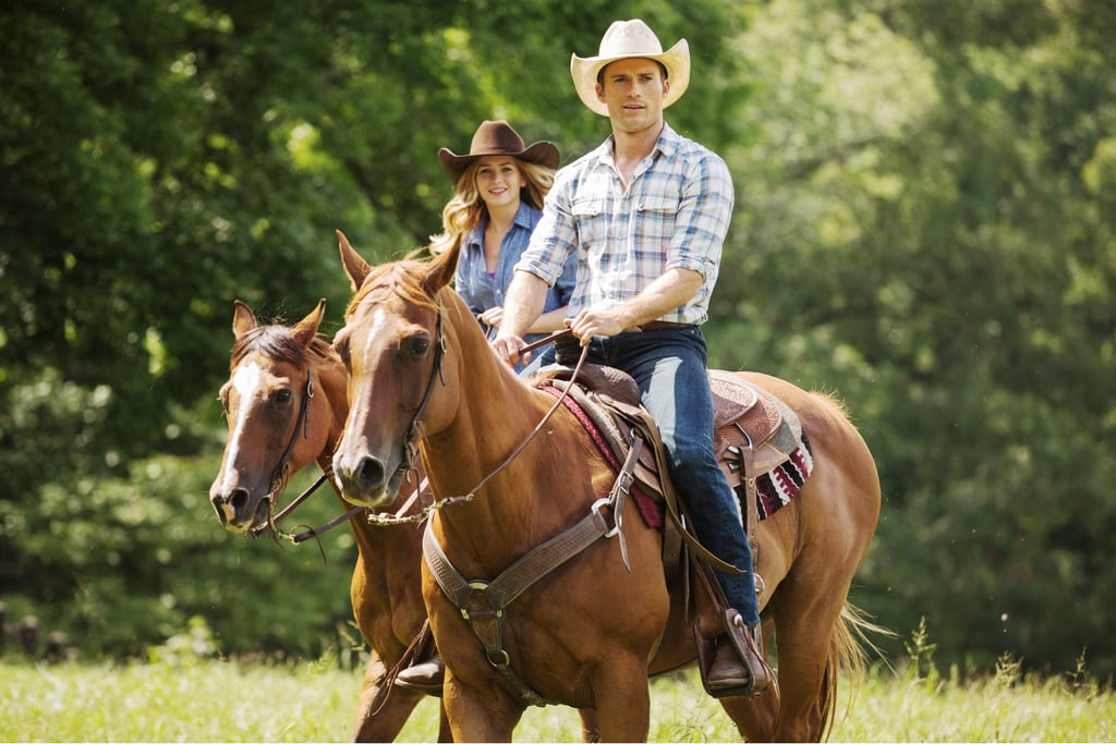 The Longest Ride (2015)