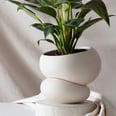 10 Indoor Planters and Pots to Liven Up Your Space