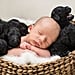 Newborn Baby and Puppies Photo Shoot