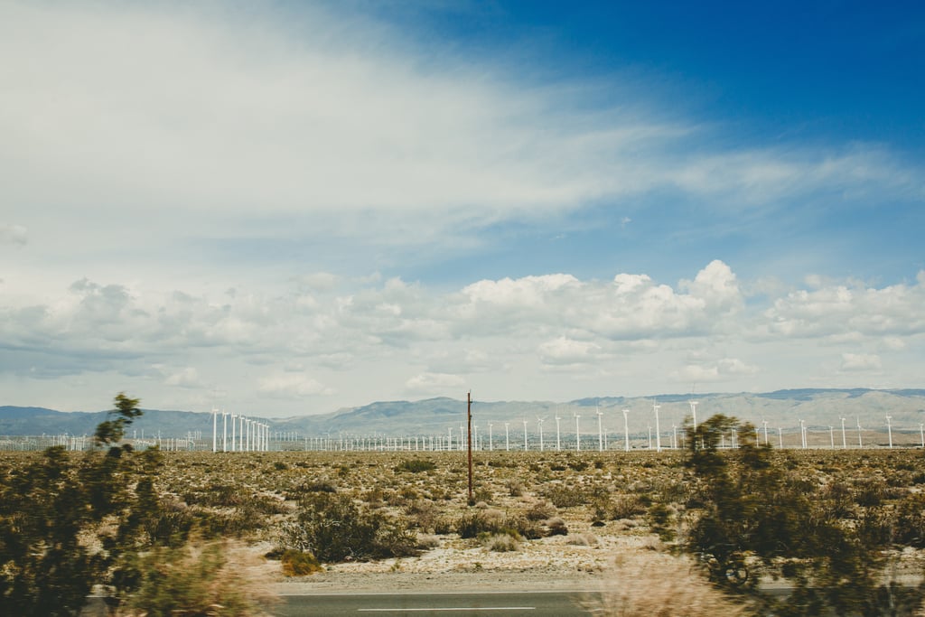 Trendy Palm Springs Wedding