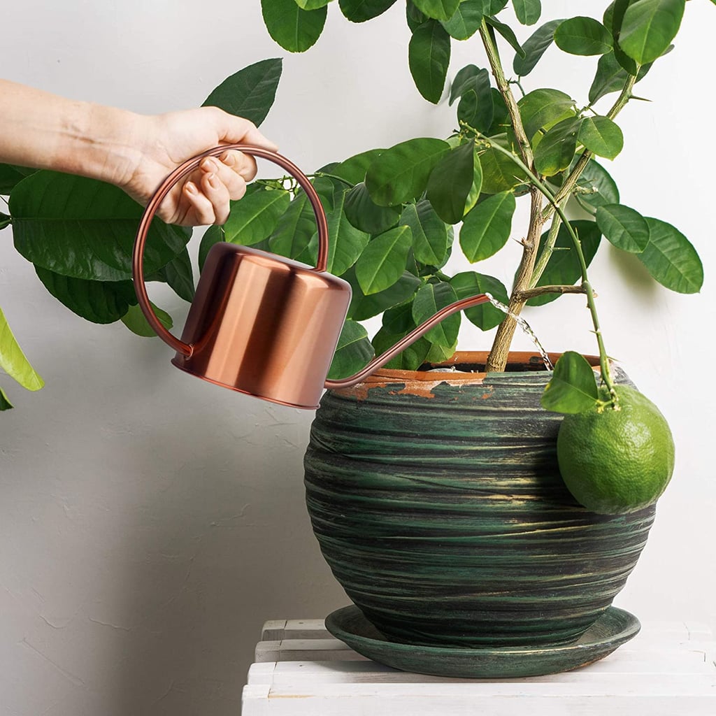 Most-Loved Home Find: Kibaga Decorative Copper Colored Watering Can