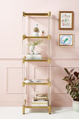 Oscarine Narrow Lucite Mirrored Bookshelf