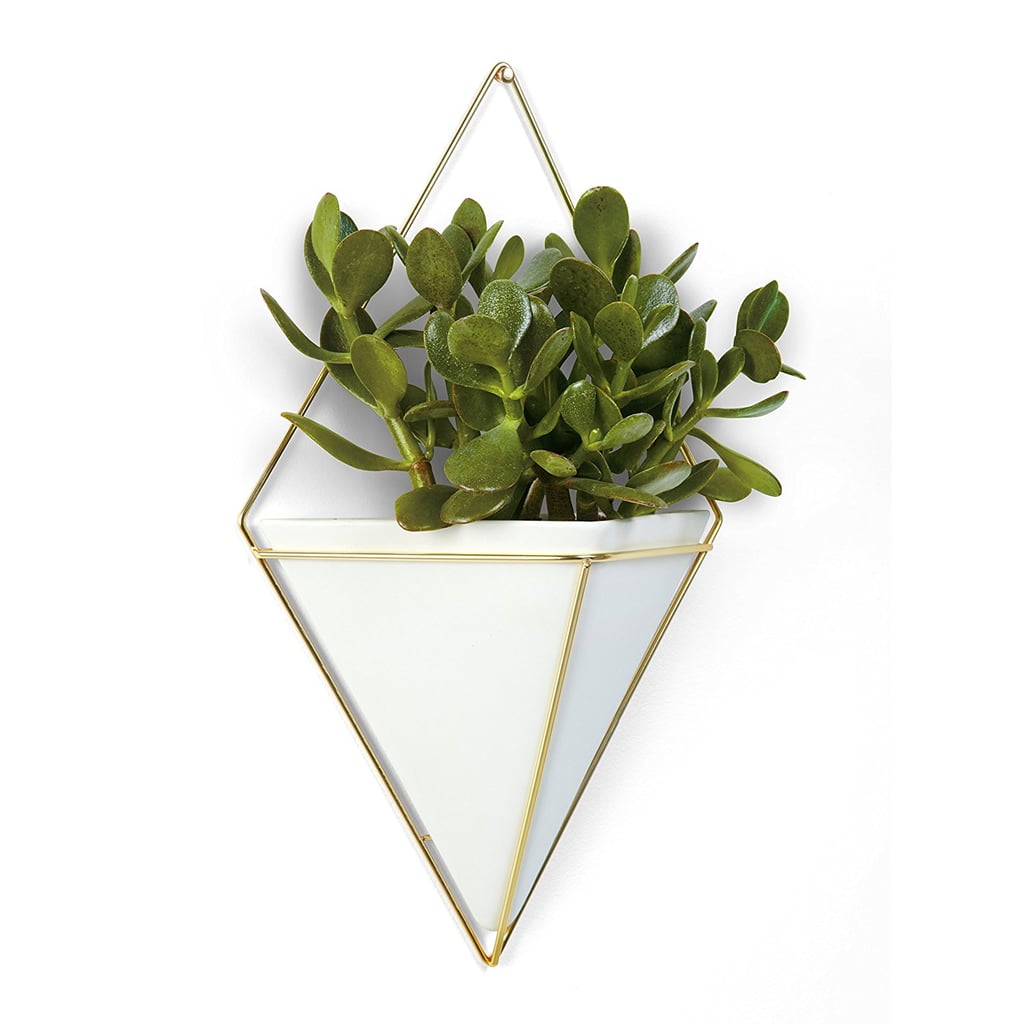 Hanging Planter Vase and Geometric Wall Decor Container (25) Mid