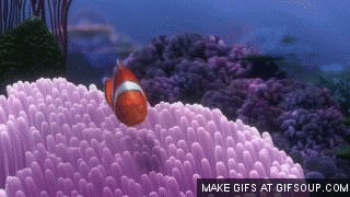 《海底总动员》:珊瑚死后试图拯救她的孩子”width=