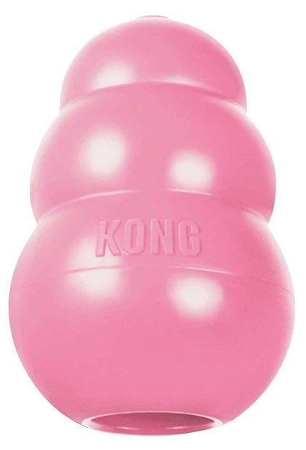 stuffed kongs for dogs