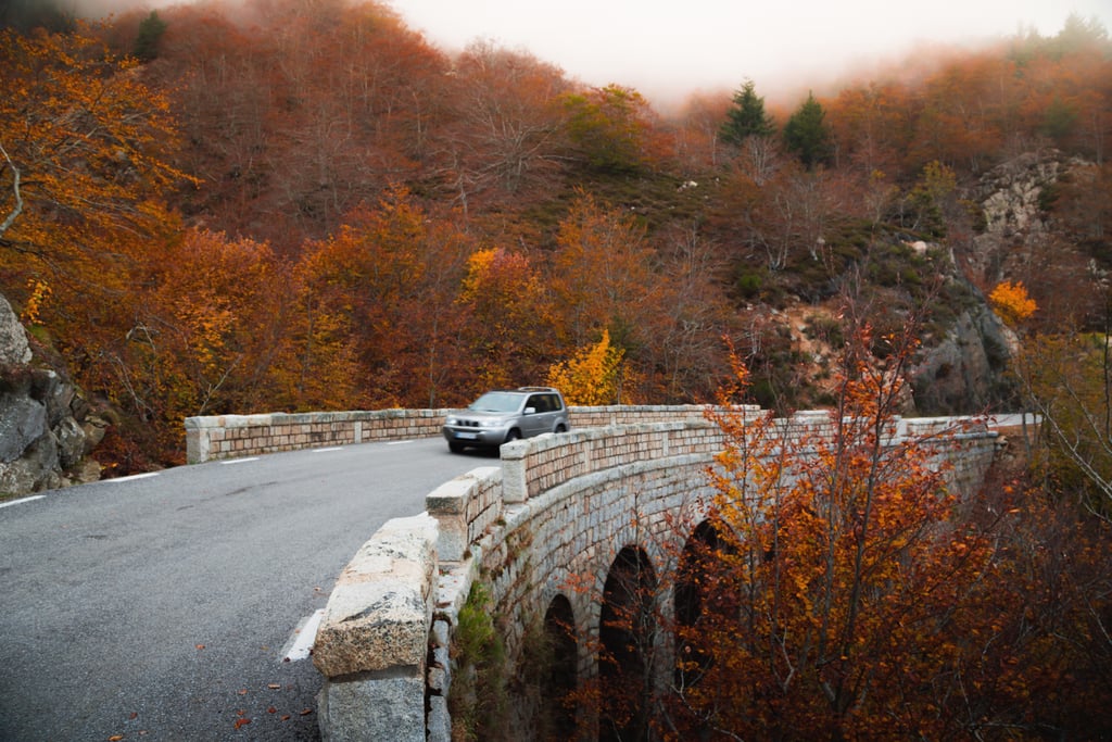 Load  Up on Snacks and Take a Scenic Drive