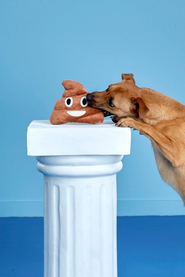 Dog with poop emoji toy sales