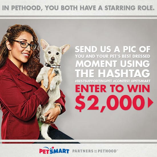 PetSmart Instagram Contest