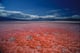 lake natron tanzania facts