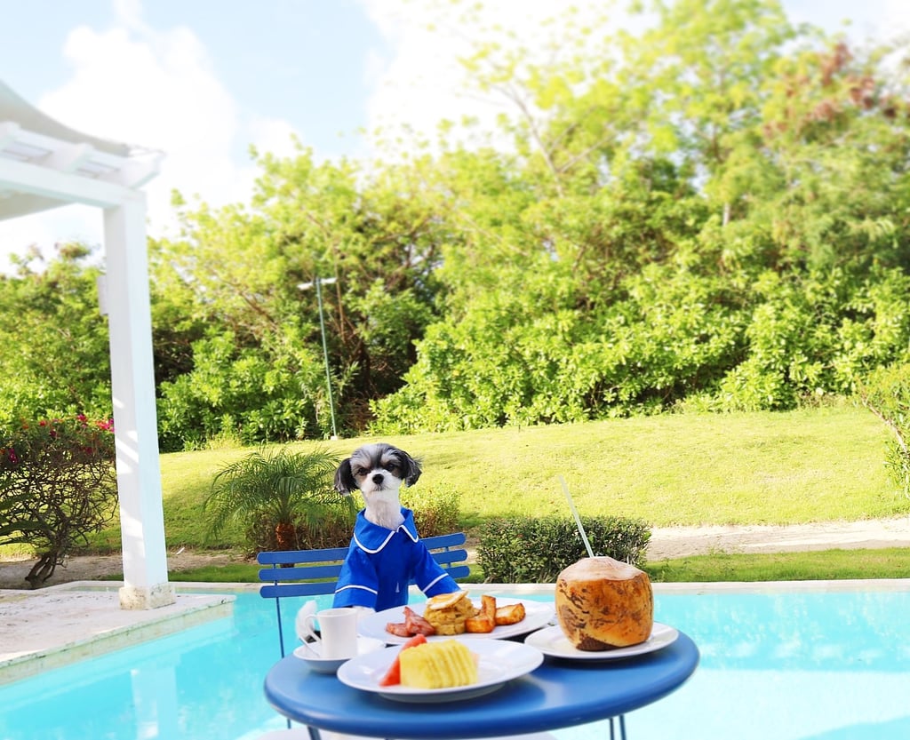 Then I brunched by my private pool.