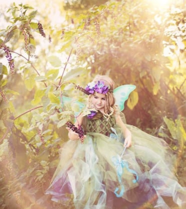 A Fairy