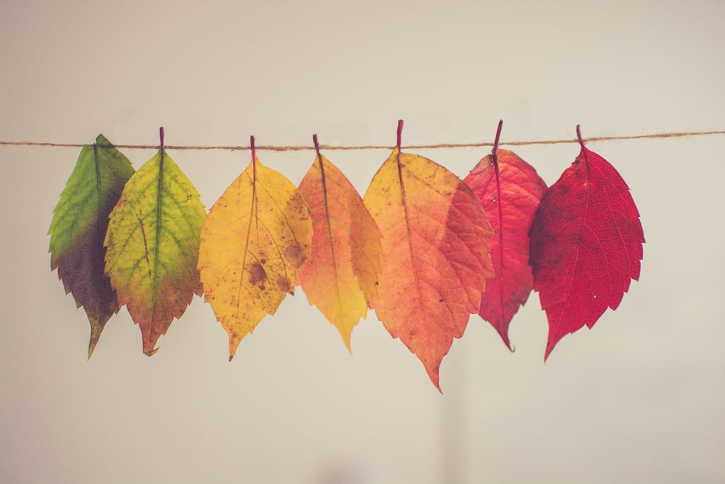20 Beautiful And Cozy Fall Computer Backgrounds Popsugar Tech