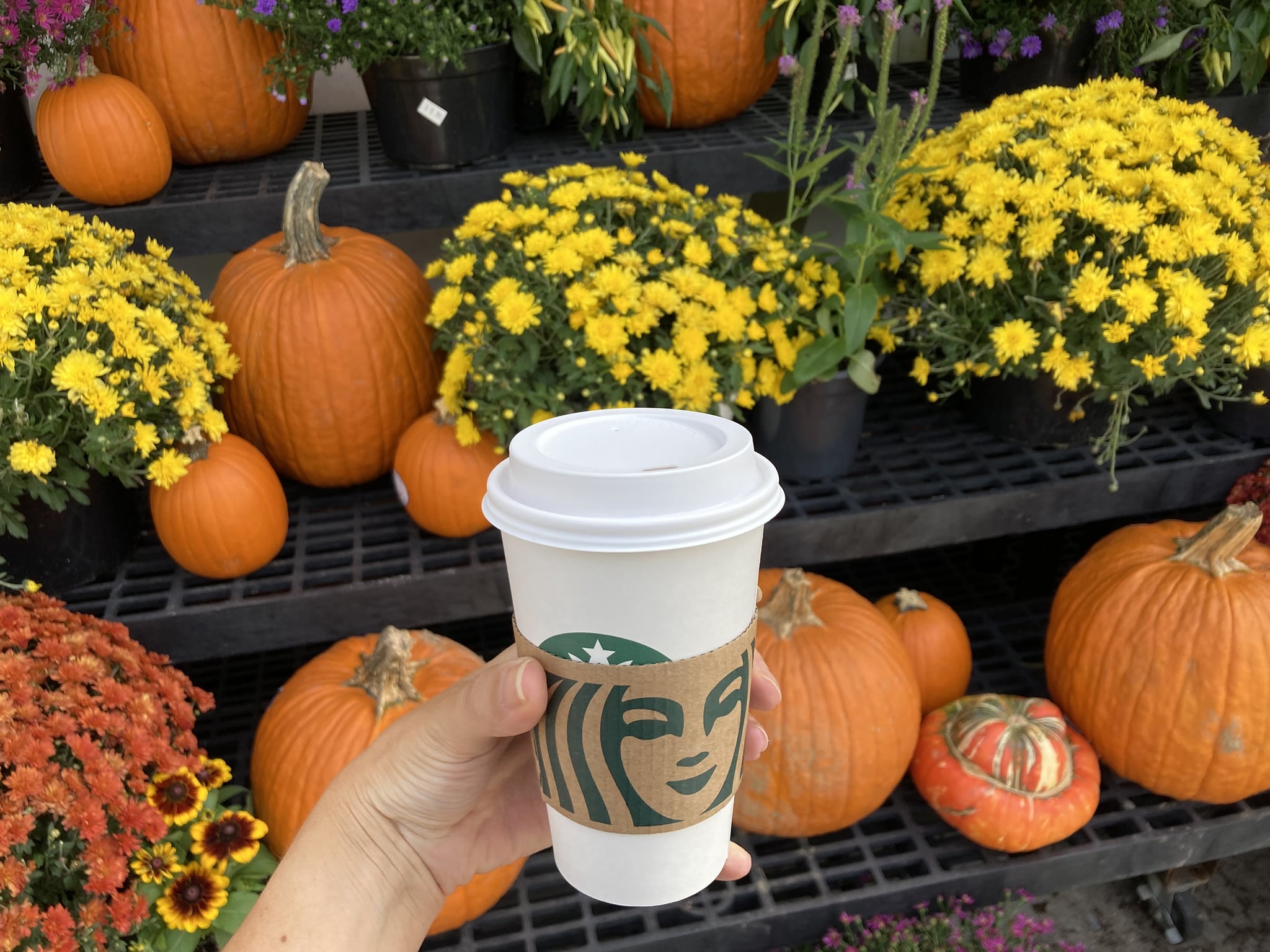 A reporter's pumpkin spice latte, purchased at a Starbucks in Baltimore