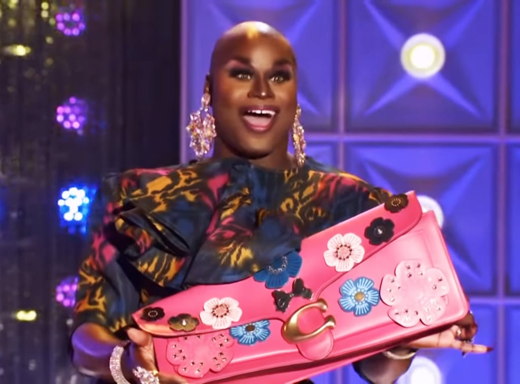 LaLa Ri's Pink Tabby Coach Bag