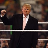 Truly Unhinged Tweet, Trump Shares