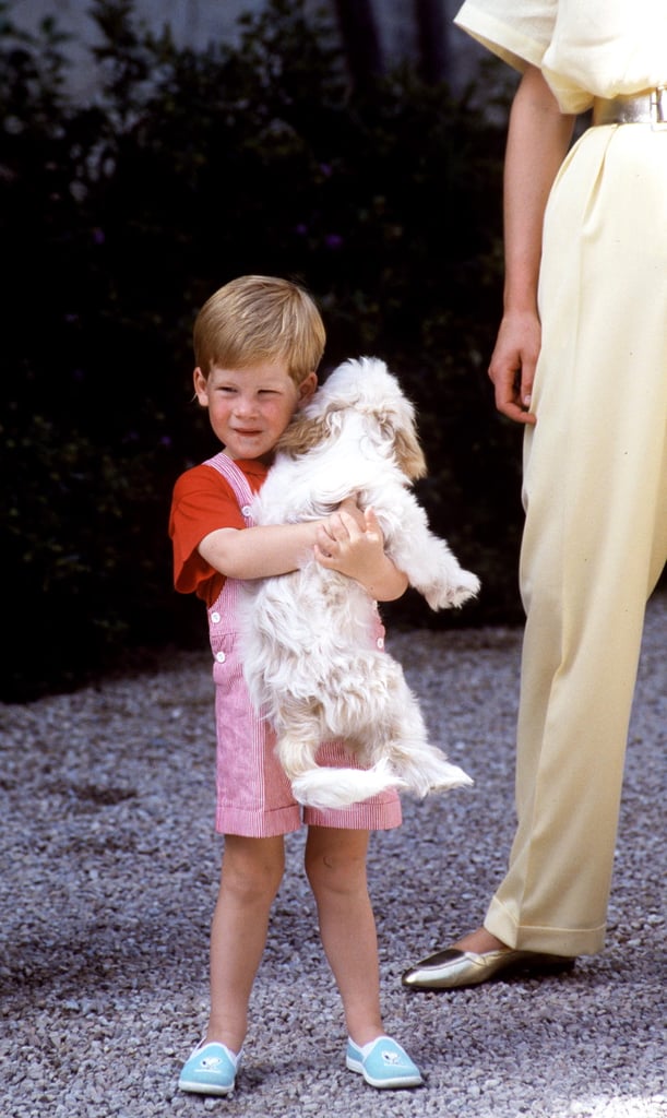 Harry cuddled King Juan Carlos I of Spain's puppy while on a family holiday to Majorca in 1987.