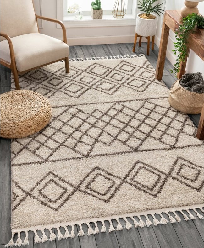 The Best Plush and Cozy Rugs