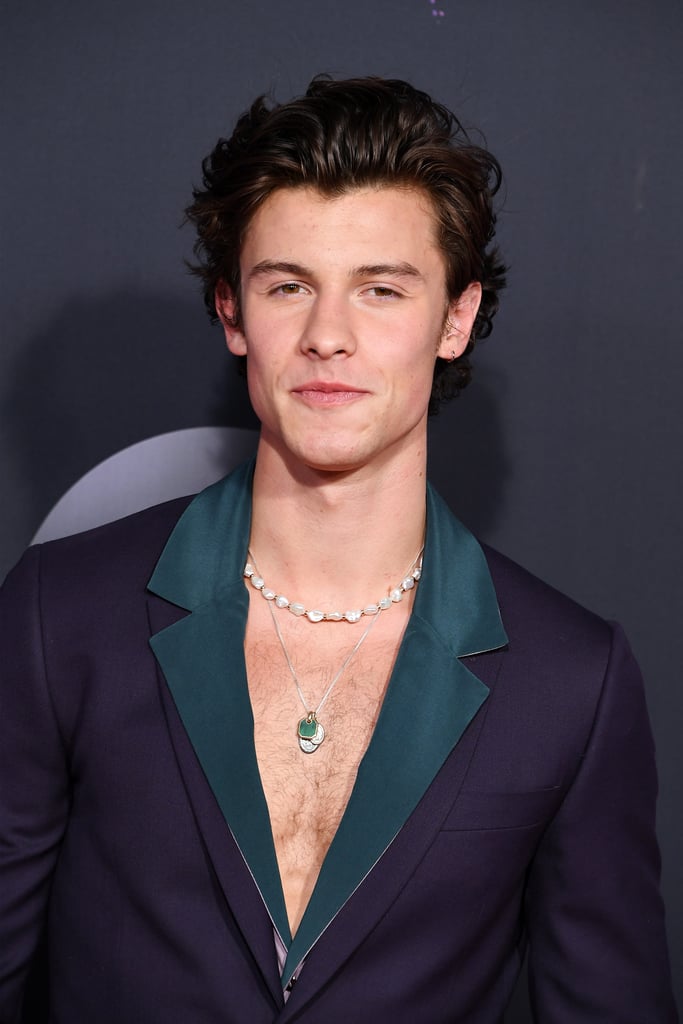 Shawn Mendes Wears an Indigio Suit and Necklaces to the AMAs