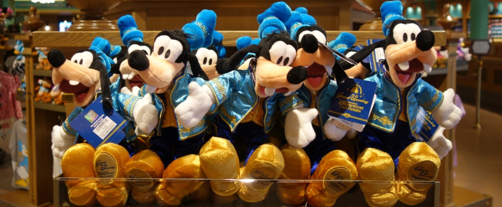 Shanghai Disneyland Tips