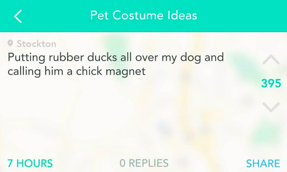 Yik Yak Users' Pet Costume Ideas For Halloween