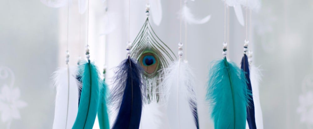 Peacock Nursery