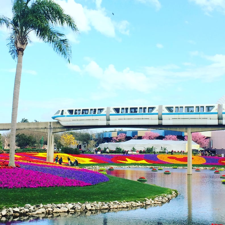 Ride the Monorail From Epcot to Magic Kingdom and Back