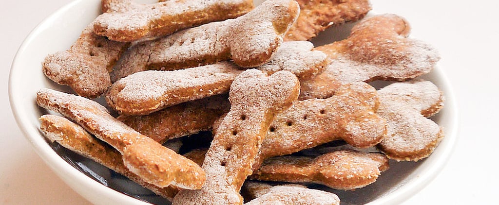 Summer Dog Treat Recipes