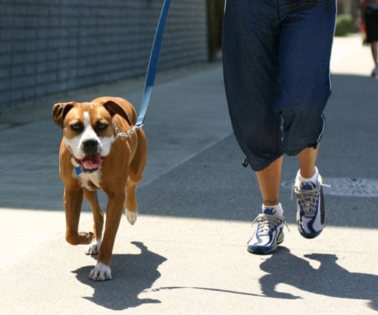 Walk For Speed and Distance