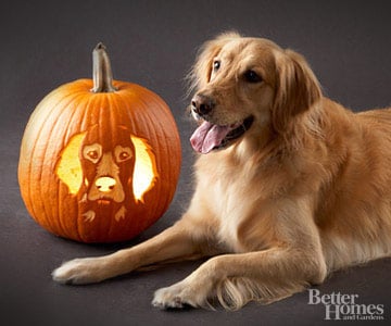 Golden Retriever | Downloadable Dog Breed Pumpkin Stencils | POPSUGAR ...