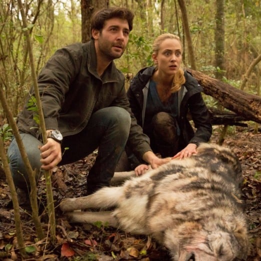 Is Zoo on Netflix Good?